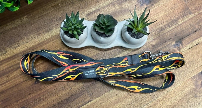 Dogtraining101 Silver Adult Dog Fancy Hot Rod 1.5m x 25mm Lead