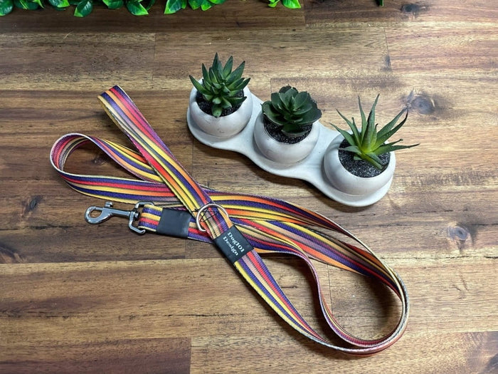 Dogtraining101 Silver Adult Dog Fancy Stripe 1.5m x 25mm Lead