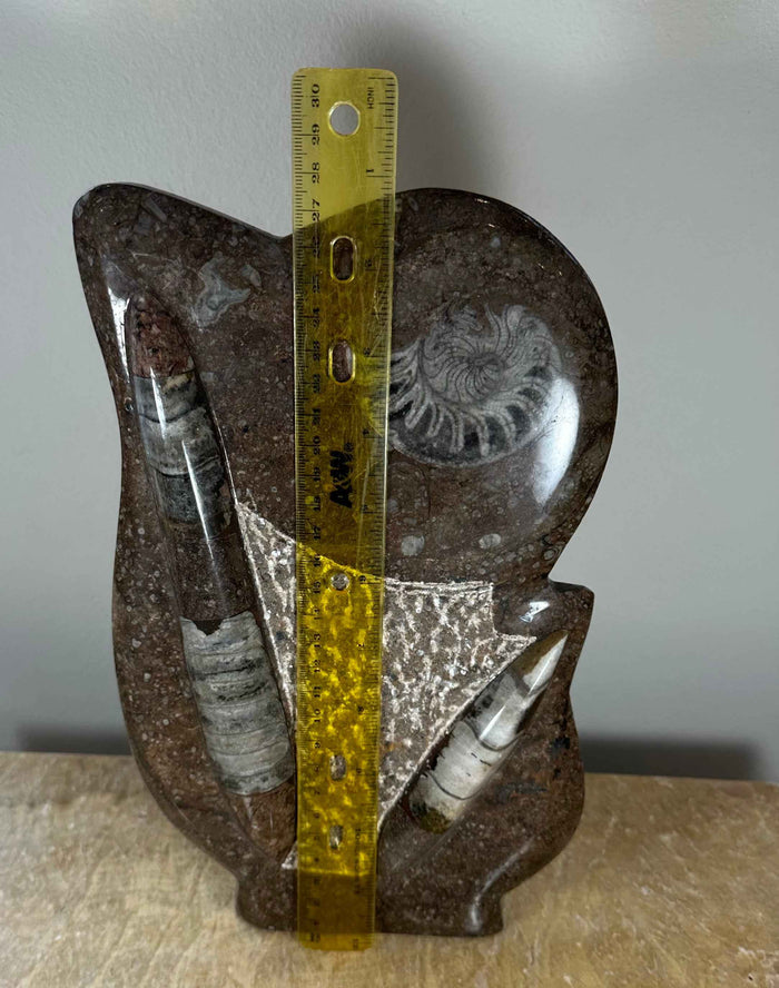 Ammonite Fossils in Matrix Sculpture - Smokin Resin Company