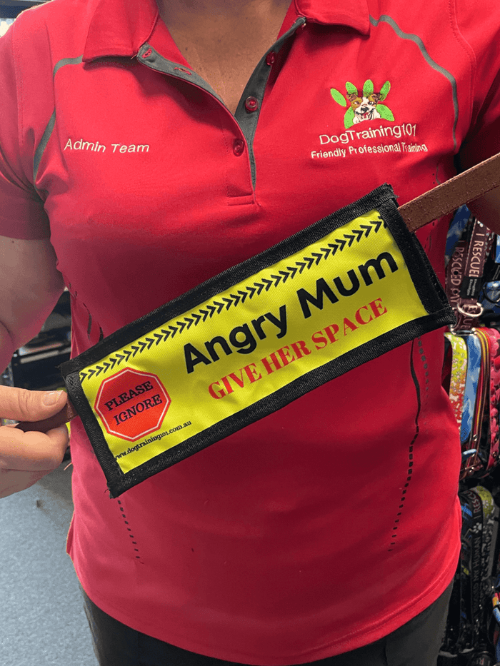 Dogtraining101 Angry Mum - Leash Banner