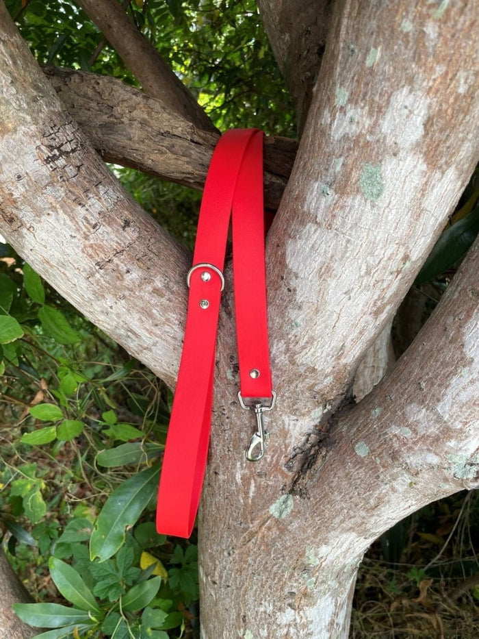 Dogtraining101 Black Biothane Candy Red Lead 1.5M