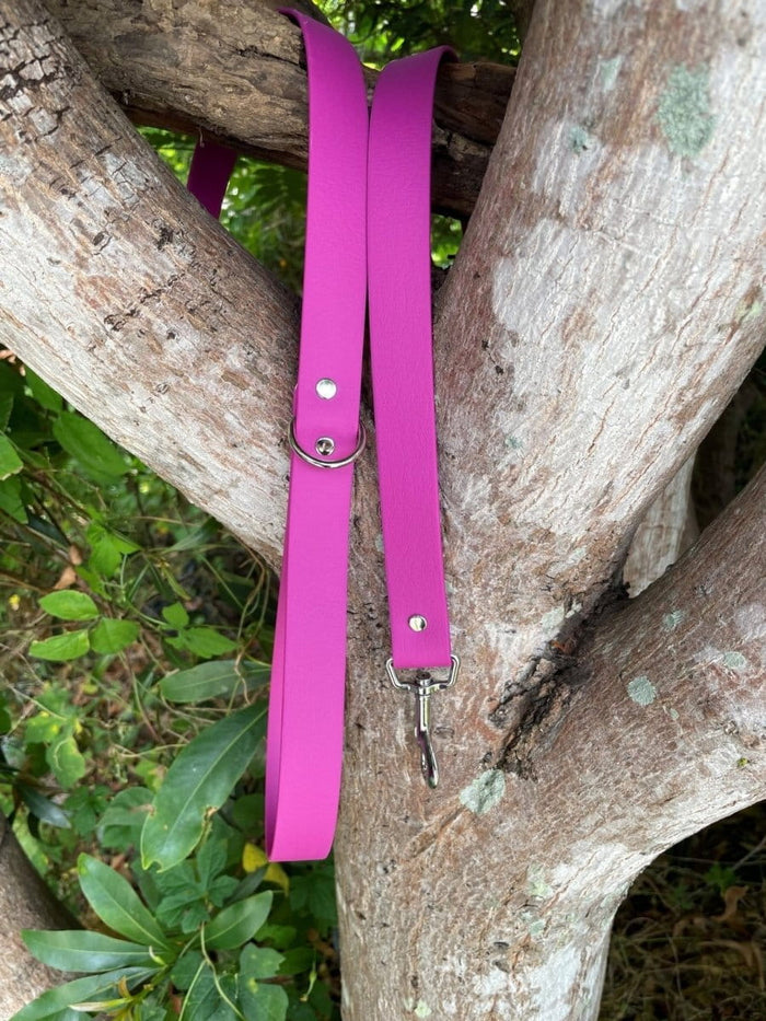 Dogtraining101 Black Biothane Lilac Lead 1.5M
