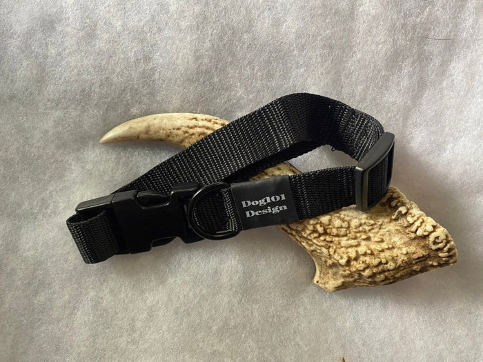 Dogtraining101 Black - Black Clip Plain Collar