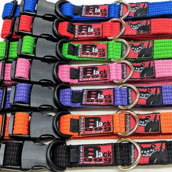 Blackdog Black Blackdog Puppy Collars