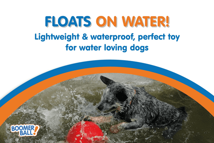 Dogtraining101 Retail Super Store Boomer Ball 4"