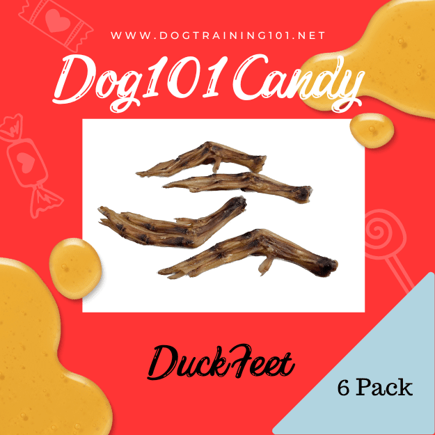Dogtraining101 Duck Feet 6pack