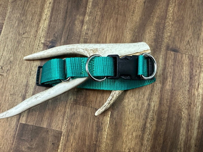 Dogtraining101 Emerald Green - Black Clip Double Up Collar