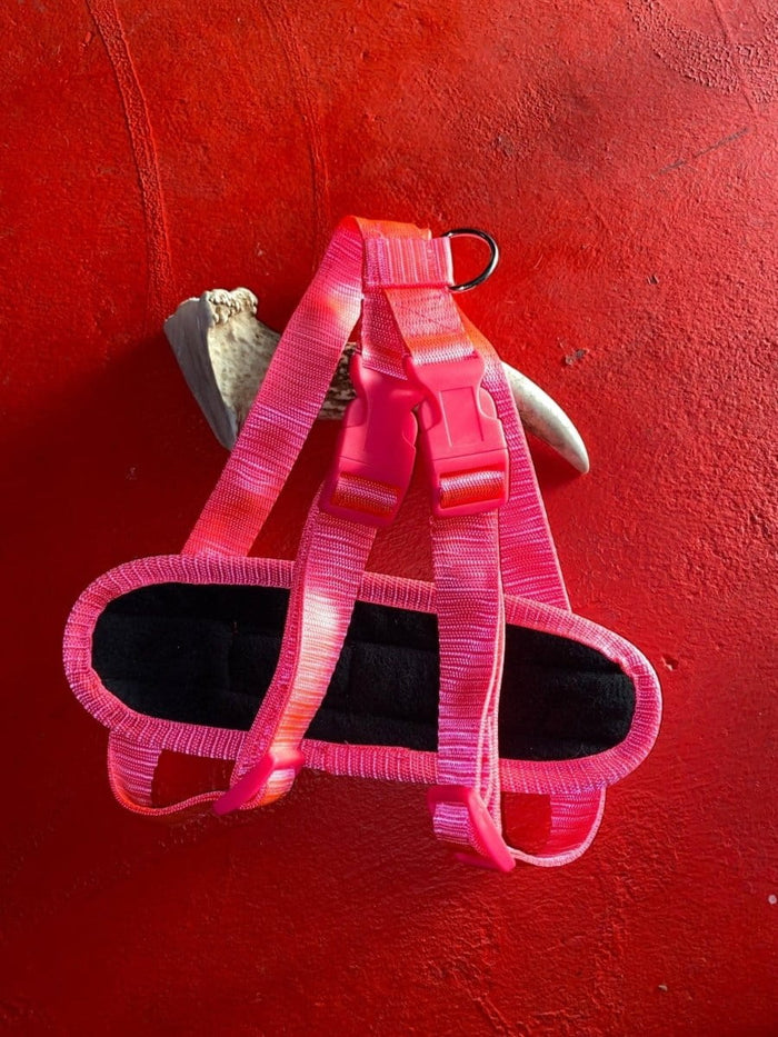 Dogtraining101 Retail Super Store Fluro Pink - Pink Clip Harness (Large)