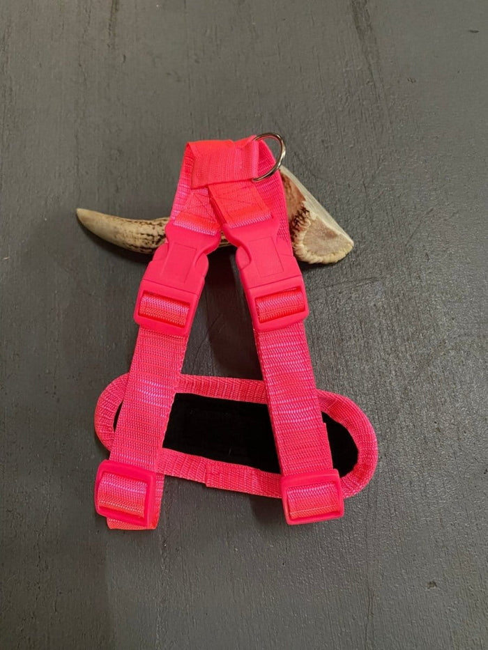 Dogtraining101 Retail Super Store Fluro Pink-Pink Clip-Fluro Pink Trim Harness (Medium)
