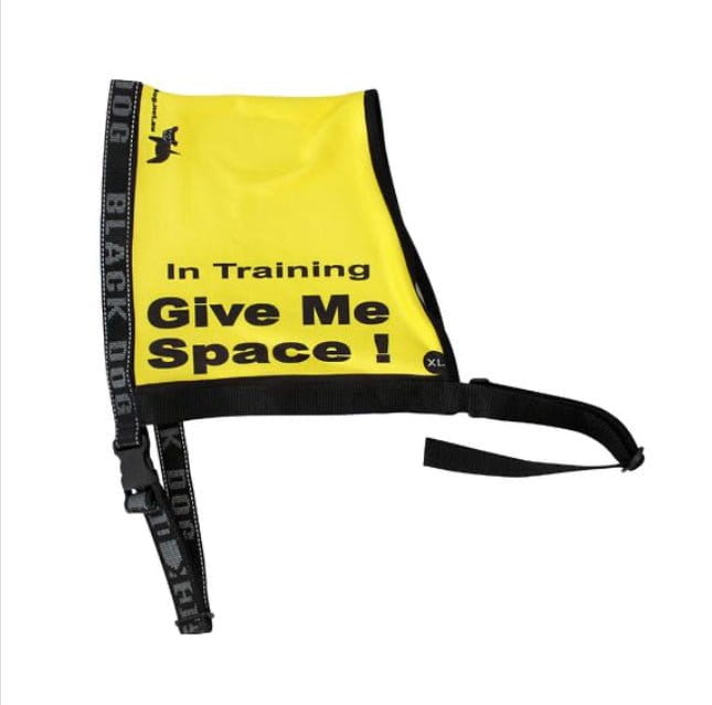 Blackdog Medium Give me Space - In Training - Vest **Discontinued**
