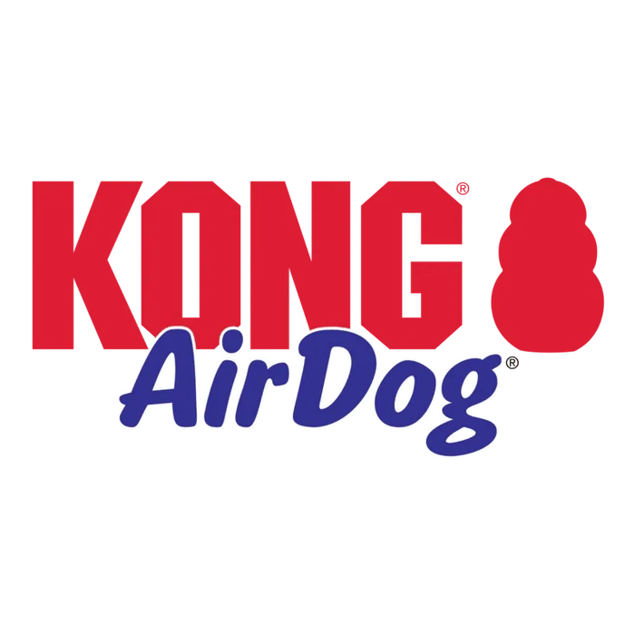 Kong Kong Halloween AirDog® Squeaker Egg 2-pk Md