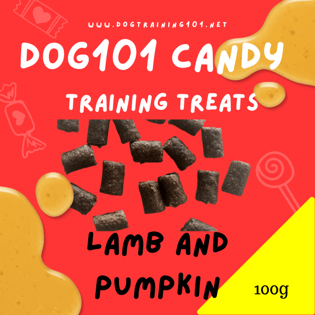 Dogtraining101 Lamb and Pumpkin Training Treats 100g