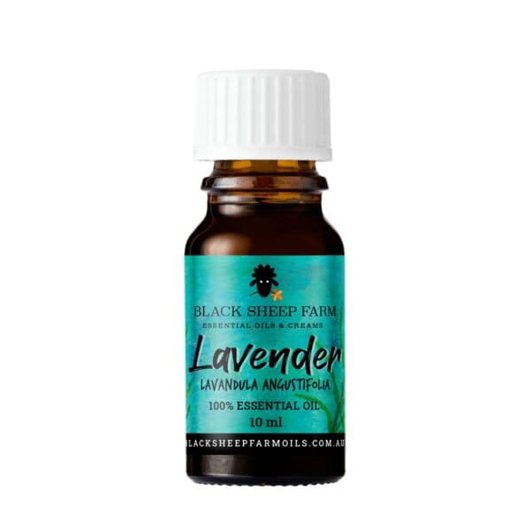 Dogtraining101 Retail Super Store Lavender essential oil 10ml
