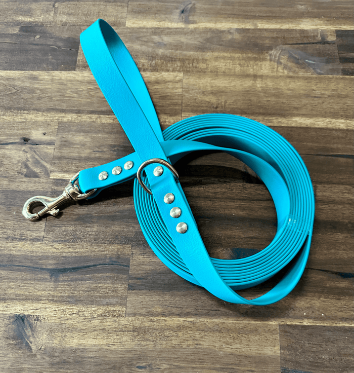 Dogtraining101 Lead 5m Green Biothane Beach - Brass Fittings