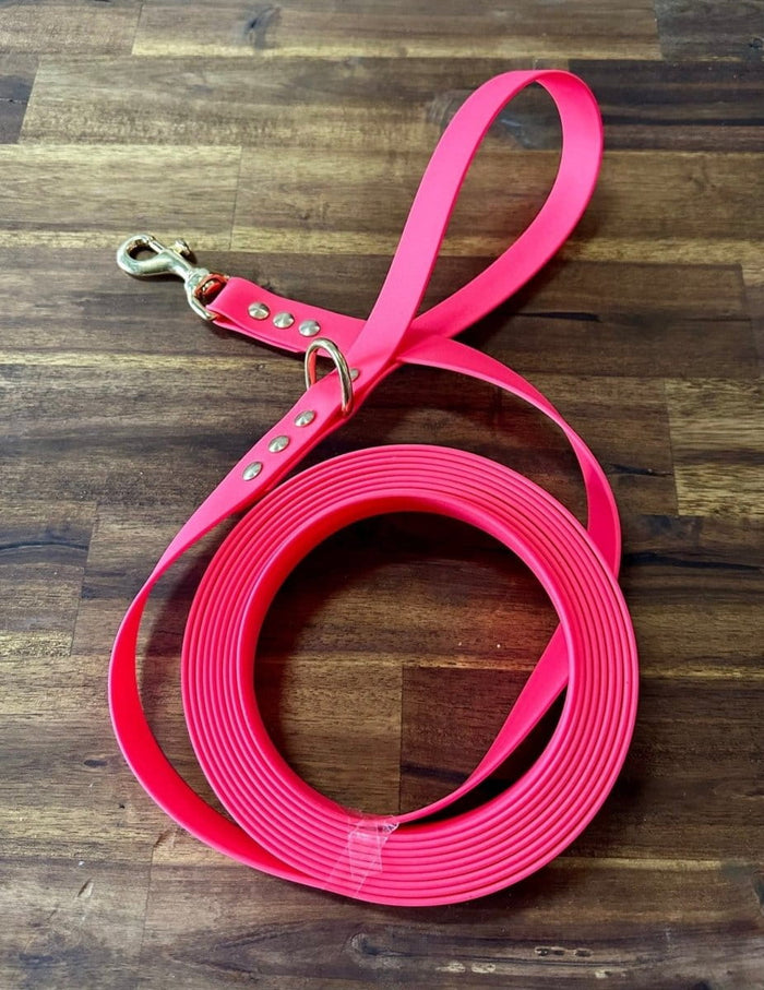 Dogtraining101 Lead 5m Hot Pink Biothane Beach - Brass Fittings
