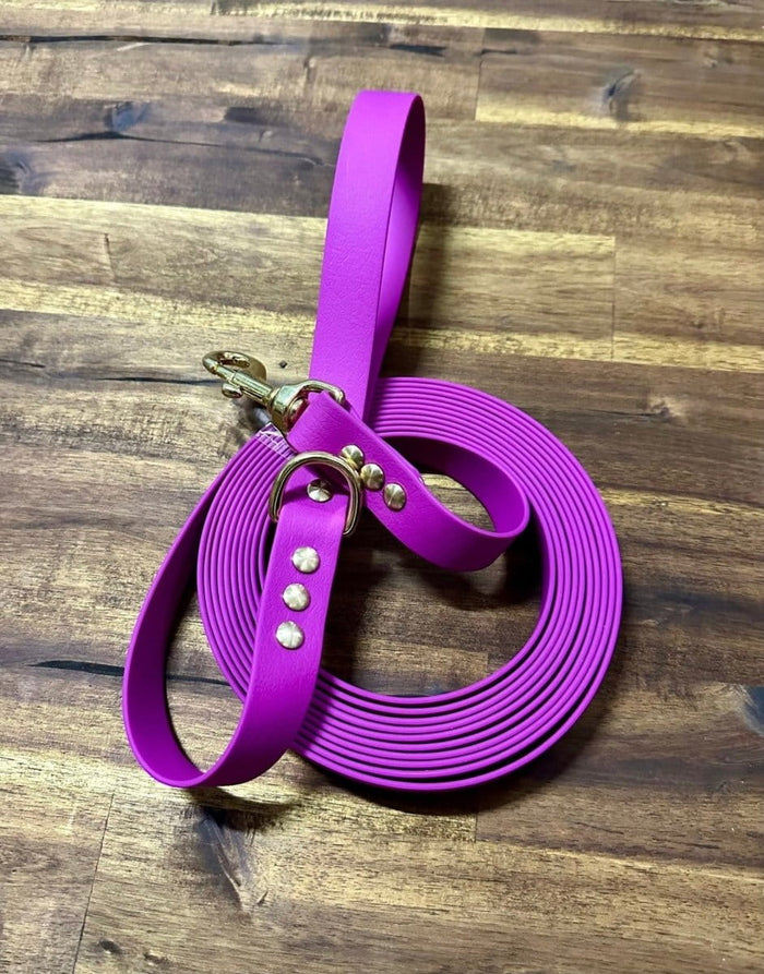 Dogtraining101 Lead 5m Lilac Biothane Beach - Brass Fittings