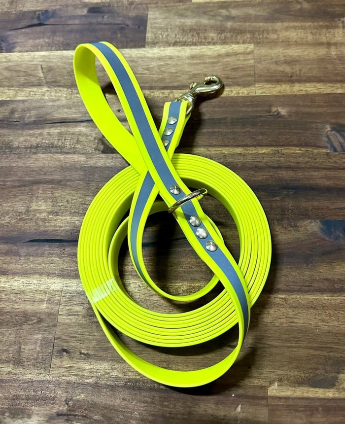 Dogtraining101 Lead 5m Reflective Yellow Biothane Beach - Brass Fittings