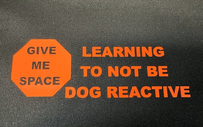 Dogtraining101 Learning to not be Dog Reactive - Vest