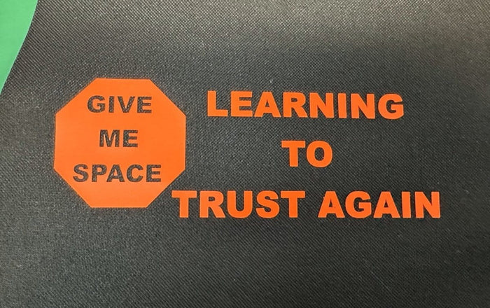 Dogtraining101 Learning to Trust Again - Vest