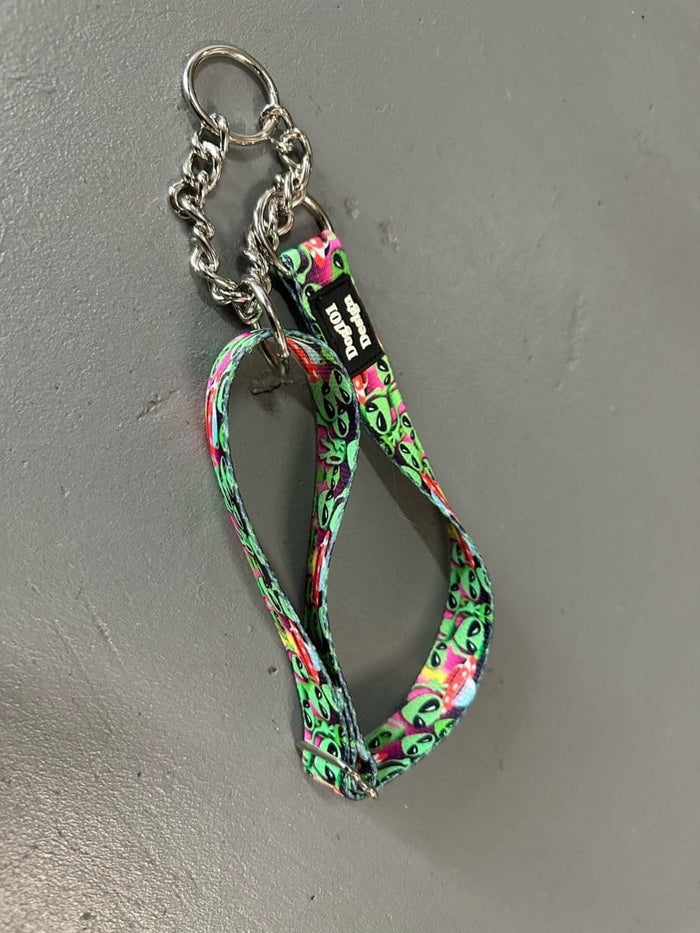 Dogtraining101 Martingale Aliens Design