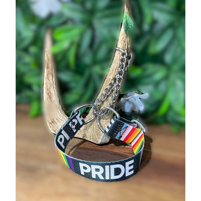 Dogtraining101 Extra Large Martingale Pride Design