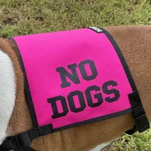 Dogtraining101 Retail Super Store No Dogs Vest