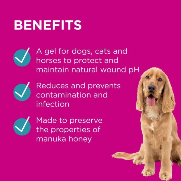 Blackmores PAW BLACKMORES Manuka Wound Gel
