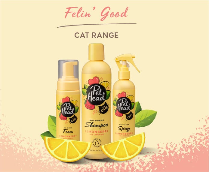 Pet Head Pet Head Felin' Good Cat Foam 200ml