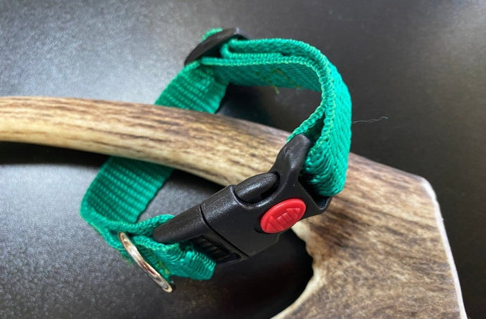 Dogtraining101 Plain Green Collar (Small/Puppy)