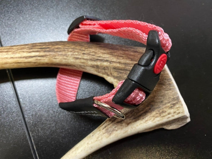 Dogtraining101 Plain Pink collar (Small/Puppy)