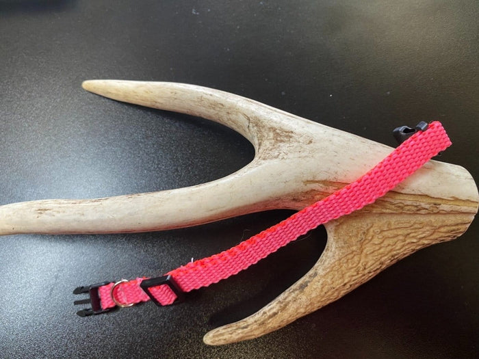 Dogtraining101 Plain Puppy Collar Pink