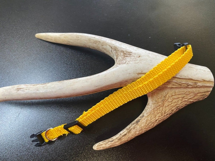 Dogtraining101 Plain Puppy Collar Yellow