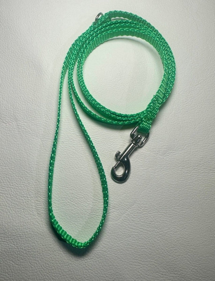 Dogtraining101 Puppy/Small Dog Light Green 1.2m x 10mm Lead