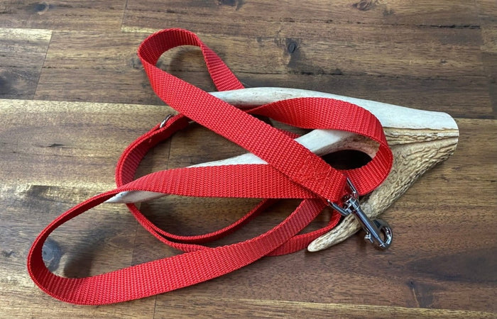 Dogtraining101 Puppy/Small Dog Plain 1.2m x 20mm Red Lead