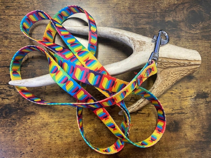 Dogtraining101 Puppy/Small Dog Rainbow Heart 1.2m x 16mm Lead