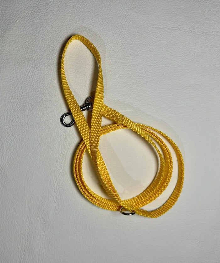 Dogtraining101 Puppy/Small Dog Yellow 1.2m x 10mm Lead