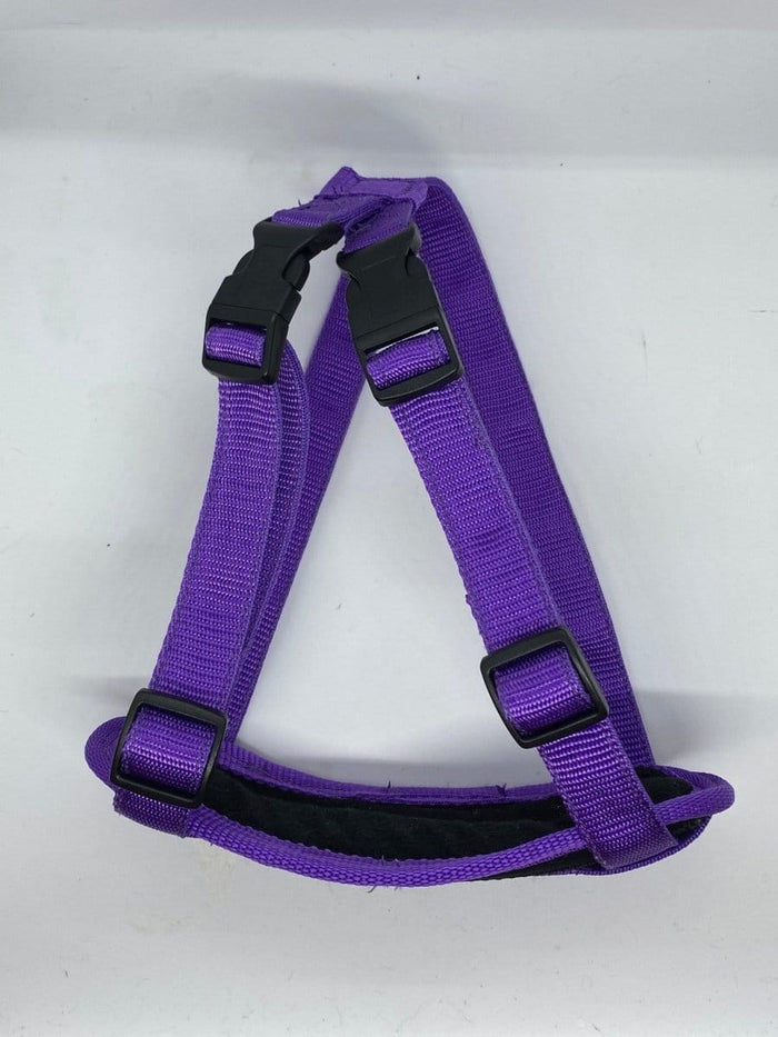 Dogtraining101 Retail Super Store Purple Plain-Black Clip-Purple Trim Harness (Large)