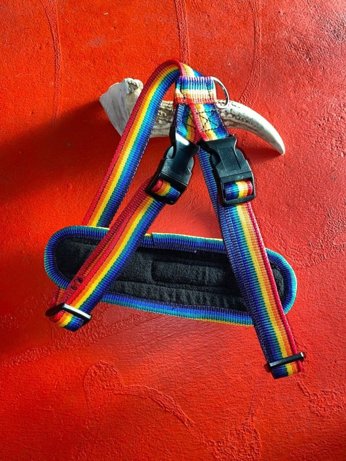 Dogtraining101 Retail Super Store Rainbow - Black Clip Harness (Large)