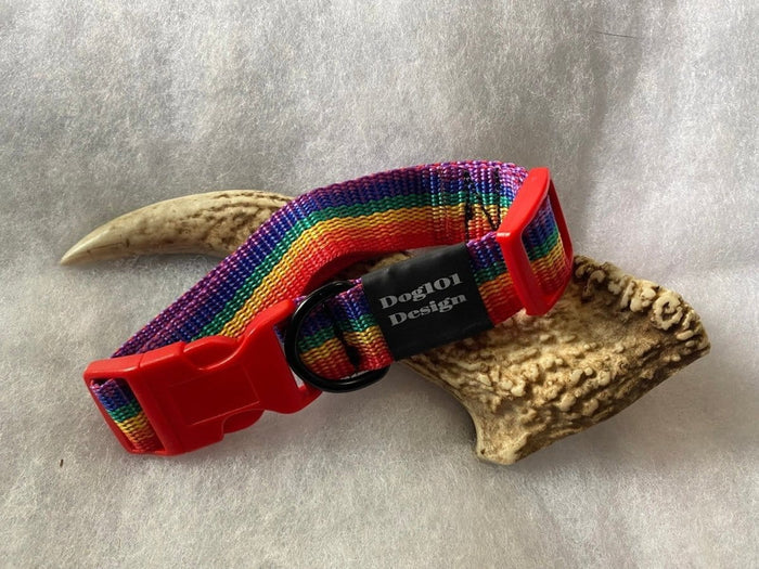 Dogtraining101 Rainbow - Red Clip Plain Collar