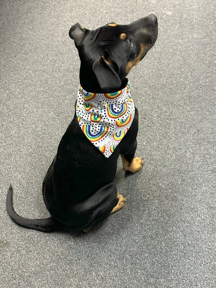 Dogtraining101 Rainbows Bandanna