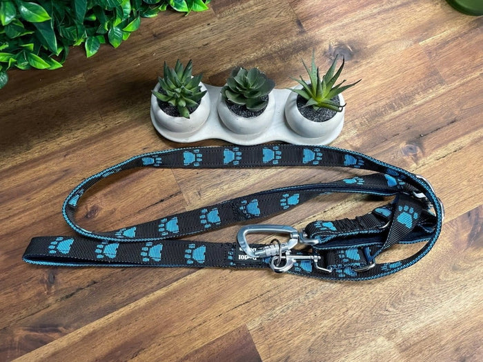 Dogtraining101 Reactive Fancy Blue Paw on Black Lead