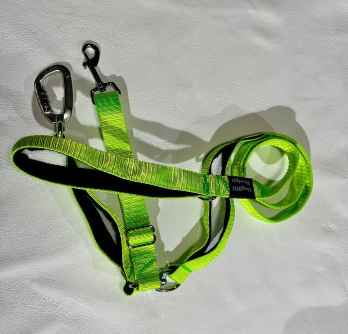 Dogtraining101 Reactive Fluro Green Lead