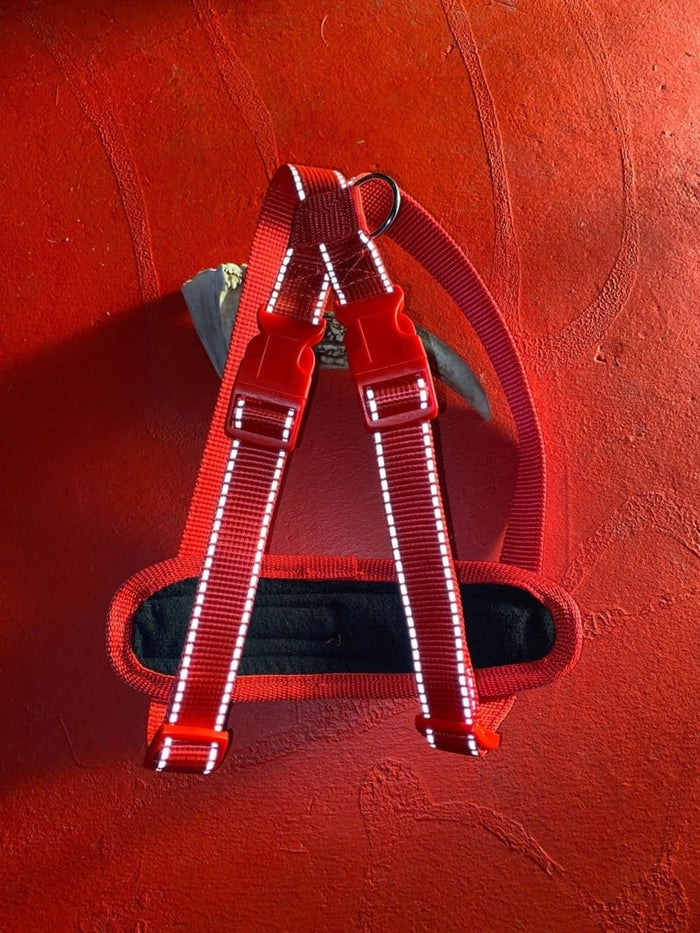 Dogtraining101 Retail Super Store Red Trim-Red Clip-Red Reflective Premium Harness (Large)