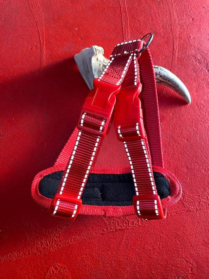 Dogtraining101 Retail Super Store Red Trim-Red Clip-Red Reflective Premium Harness (Medium)