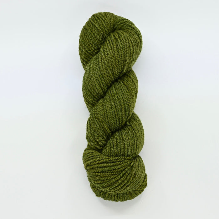 Ribbit Rebellion - Caldera Worsted