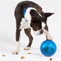 Rogz Rogz Treat Dispenser Tumbler Blue