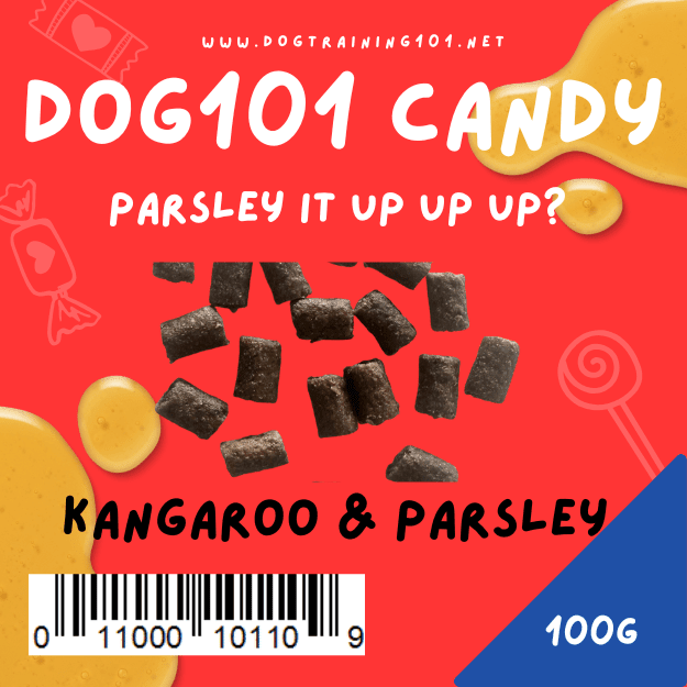 Dogtraining101 Roo and Parsley