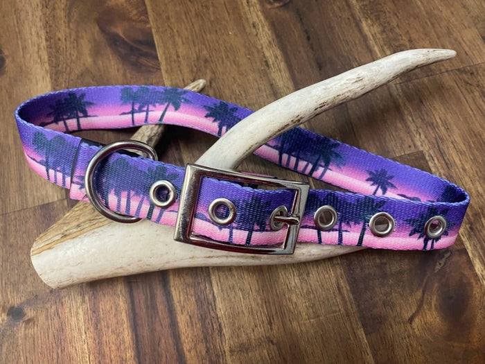 Dogtraining101 Sunset Buckle Collar