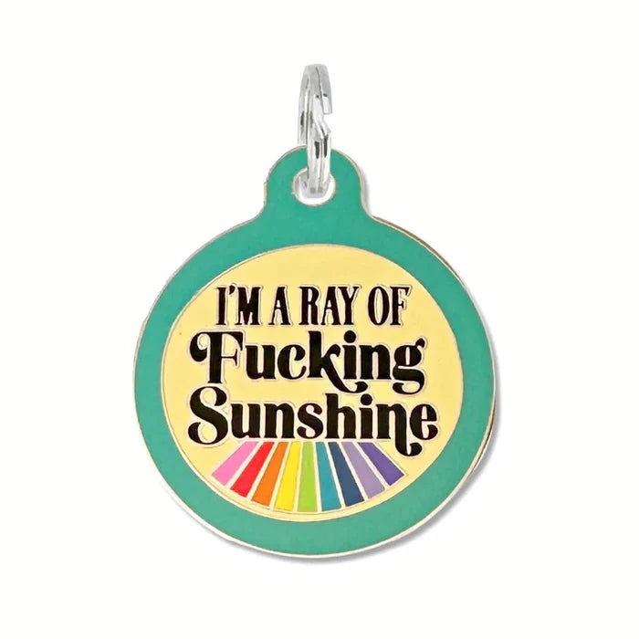 Bad Tags Teal Ray of Sunshine charm or pet id tag