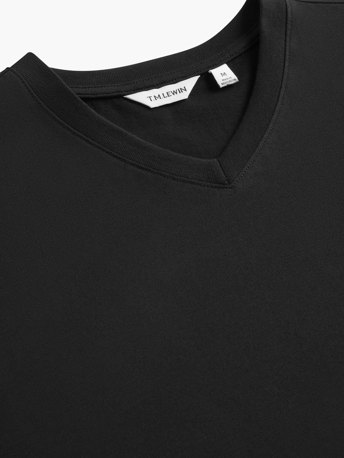 The V-Neck T-Shirt